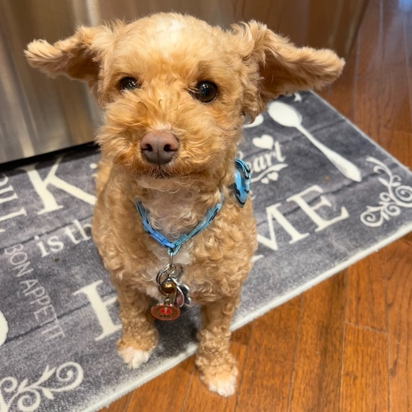 Hey y’all! 🪩💖 - Picture 9 of 10